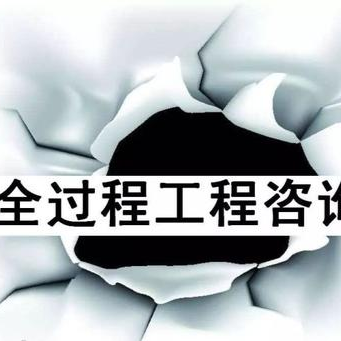 建设项目全过程工程咨询落地实务研修班
