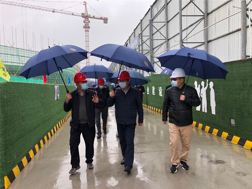 1583981698221701.jpg 1.jpg