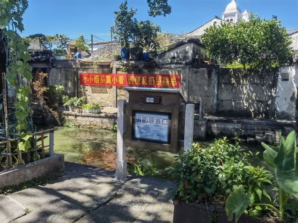 1663636256598825.jpg 1663636256598825.jpg