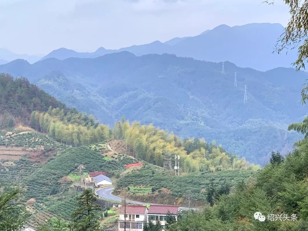 绍兴福建商会的代表们,相约前往稽东镇营口村培里,开启了一段探秘