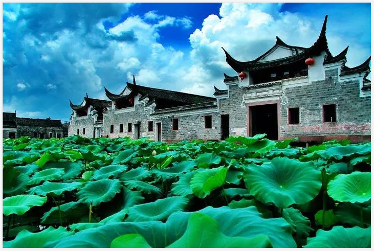 美丽城镇建设行动 | "创智先锋,城南核芯" 鄞州姜山镇开启都市节点型