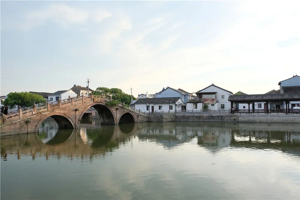 美丽城镇建设系列报道之奉化篇水乡古镇西坞的美丽蝶变