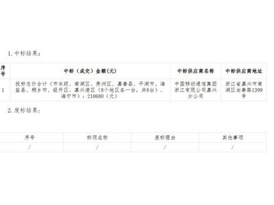 大地工程咨询有限公司关于嘉兴市自然灾害应急能力提升工程预警指挥项目（提升支撑保障能力）（重新招标）中标(成交)结果公告