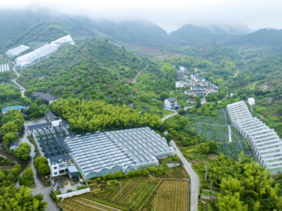 打好乡村振兴“创意牌”！上虞发布“4+2+X”土特产全产业链建设指引及强村富民“新十条”